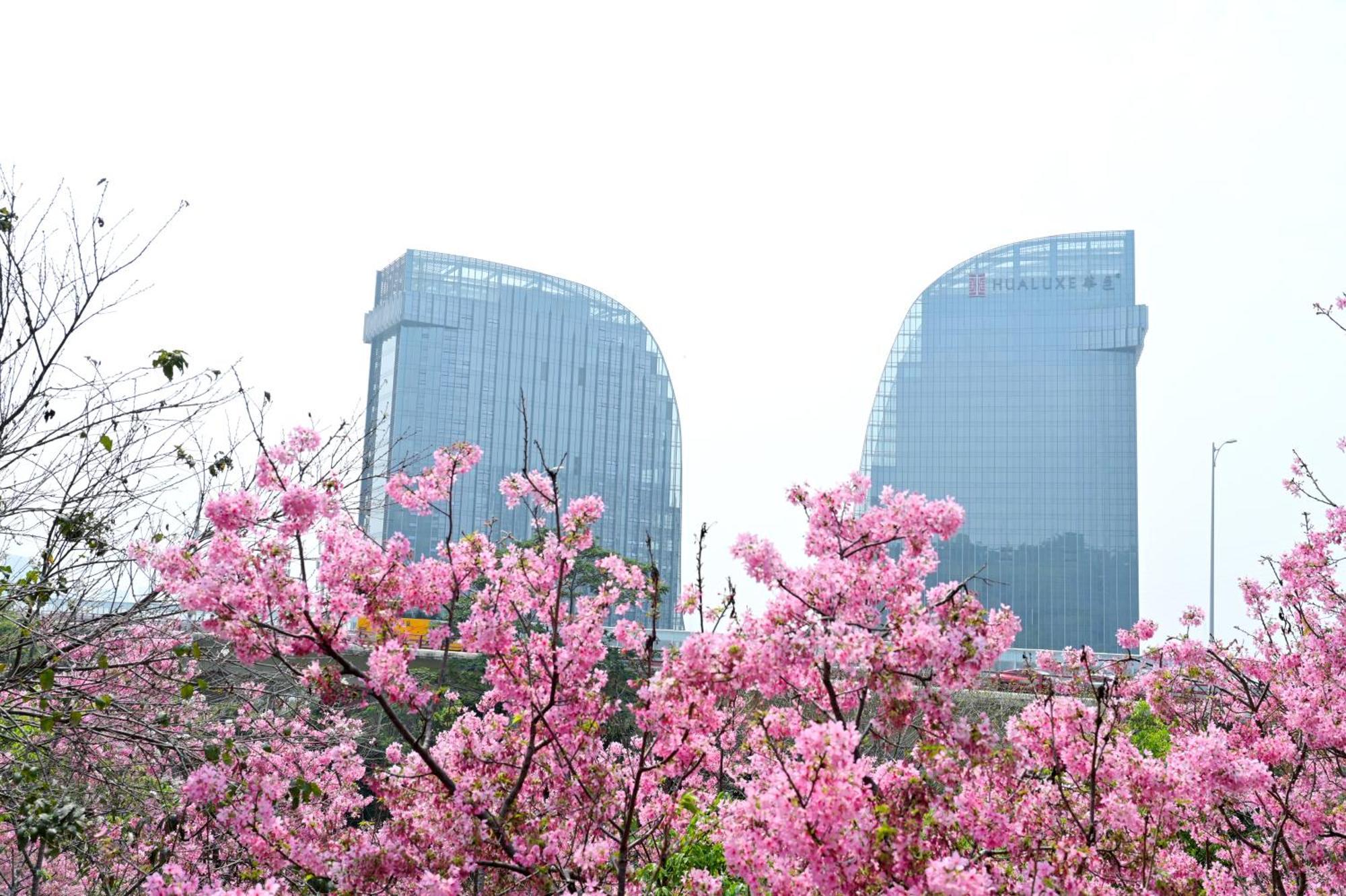 Hualuxe Xiamen Haicang Habour View Hotel Exterior photo